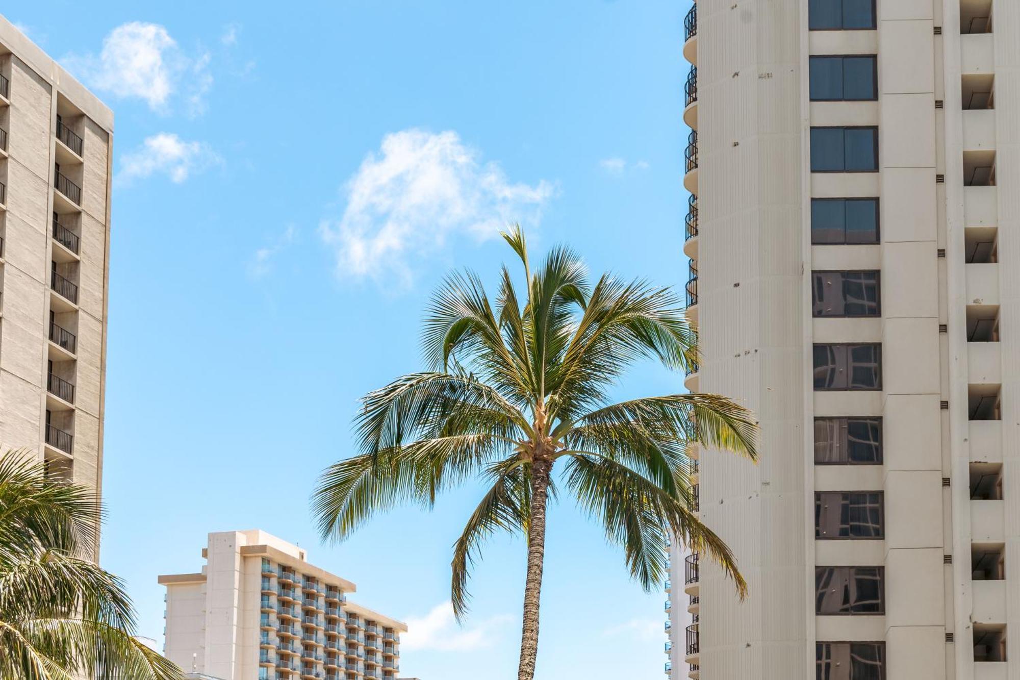 Diamond Head Views Retreat With Free Parking & Near Waikiki Beach! Honolulu Exterior foto